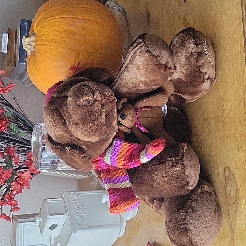 Commonwealth chocolate lab dog with puppy